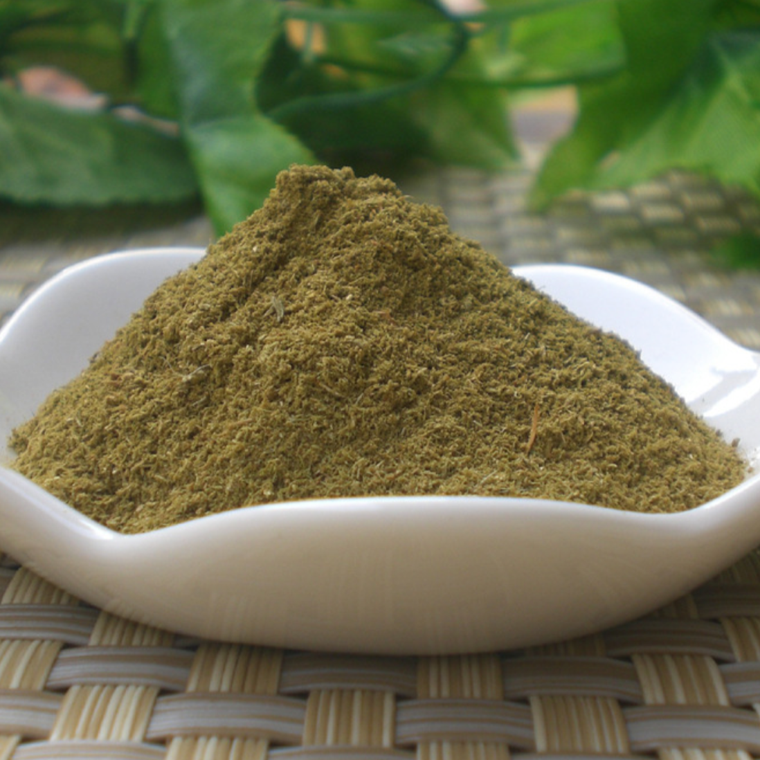 Polyporus Umbellatus