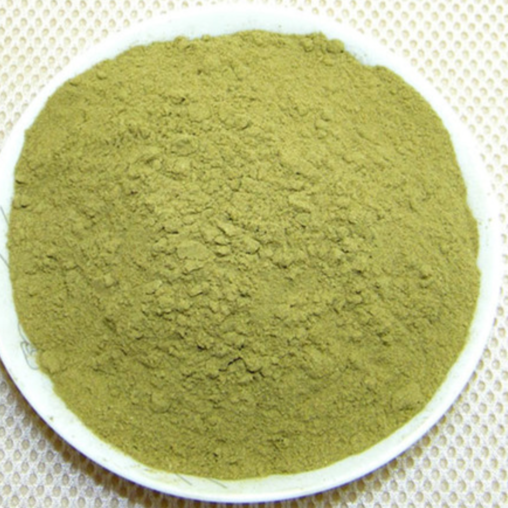 Platycladus Orientalis