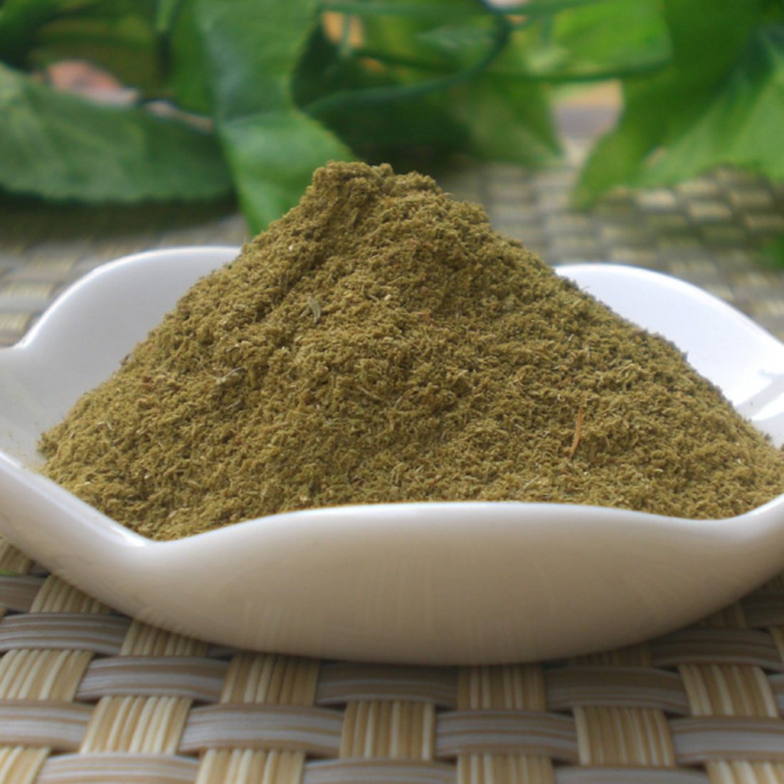 Radix Pseudostellariae