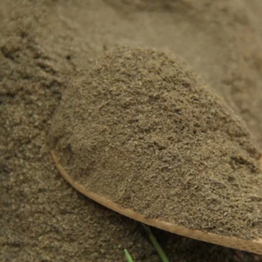 Chinese Star Jasmine