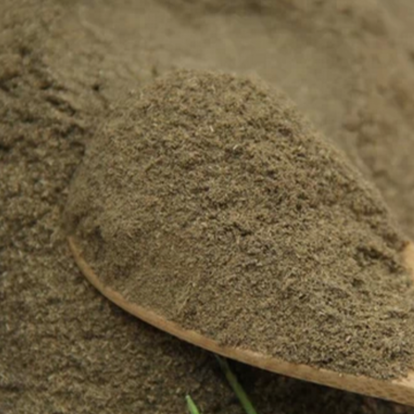 Chinese Angelica Root