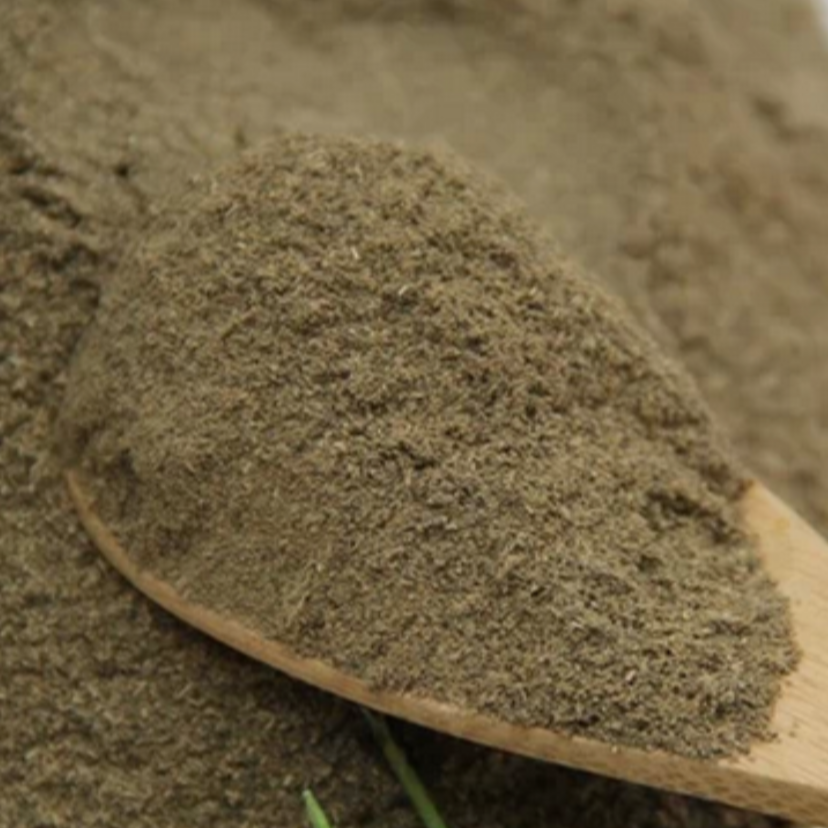 Blackberry Lily Rhizome