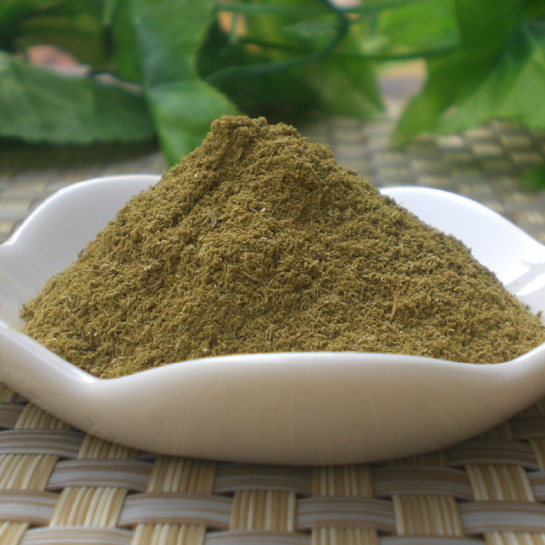 Radix Sophorae Flavescentis