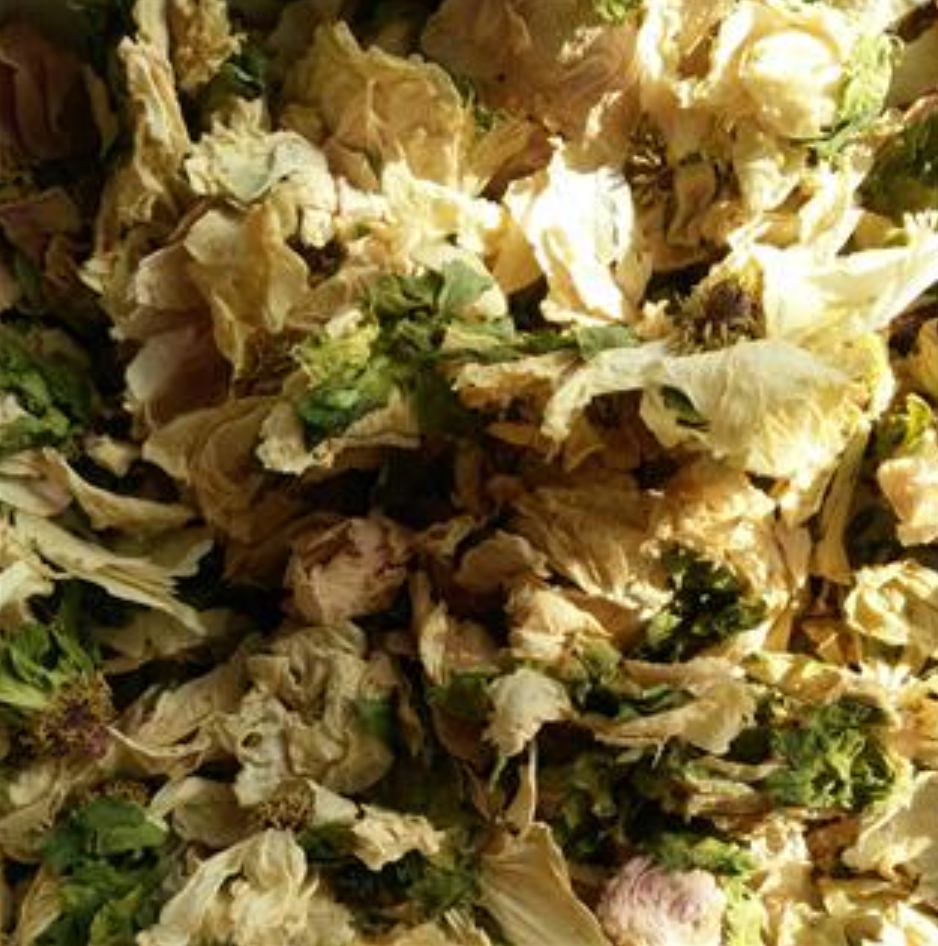 Tree-Peony Bark (Moutan Bark)