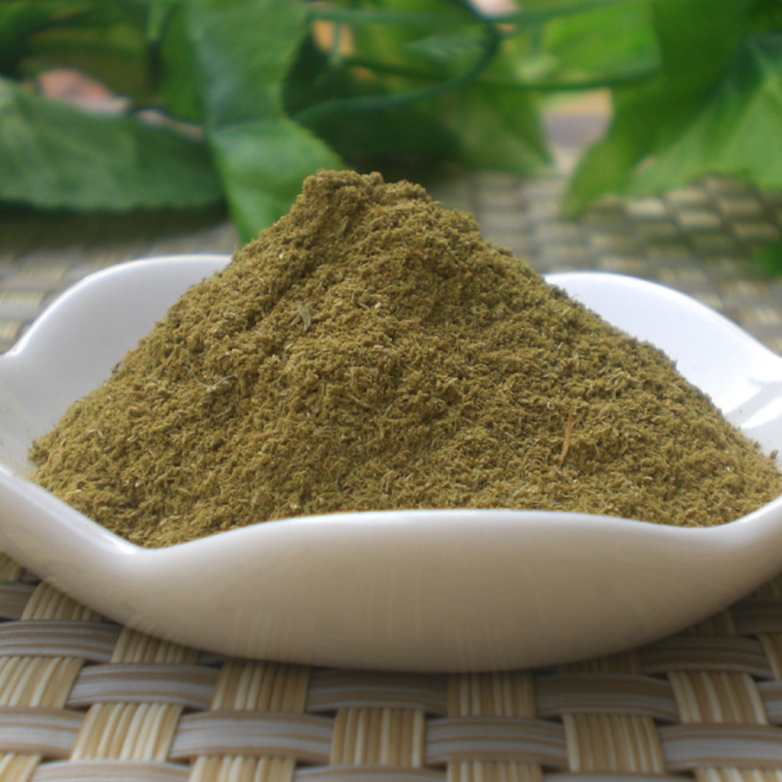 Receptaculum Nelumbinis (Chinese Gentian)