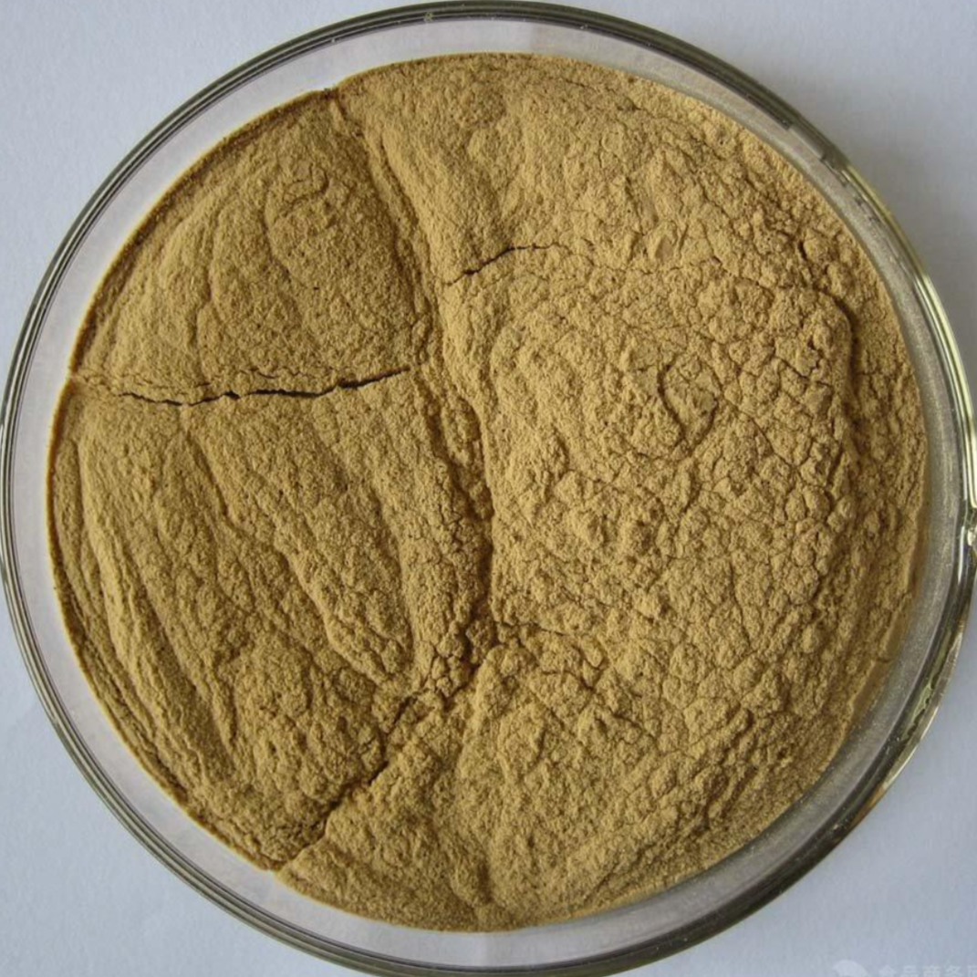 Herba Scutellariae Barbata