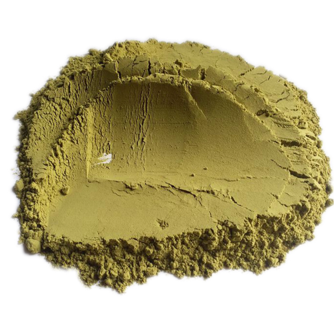 Rhizome Tatarinow Sweetflag