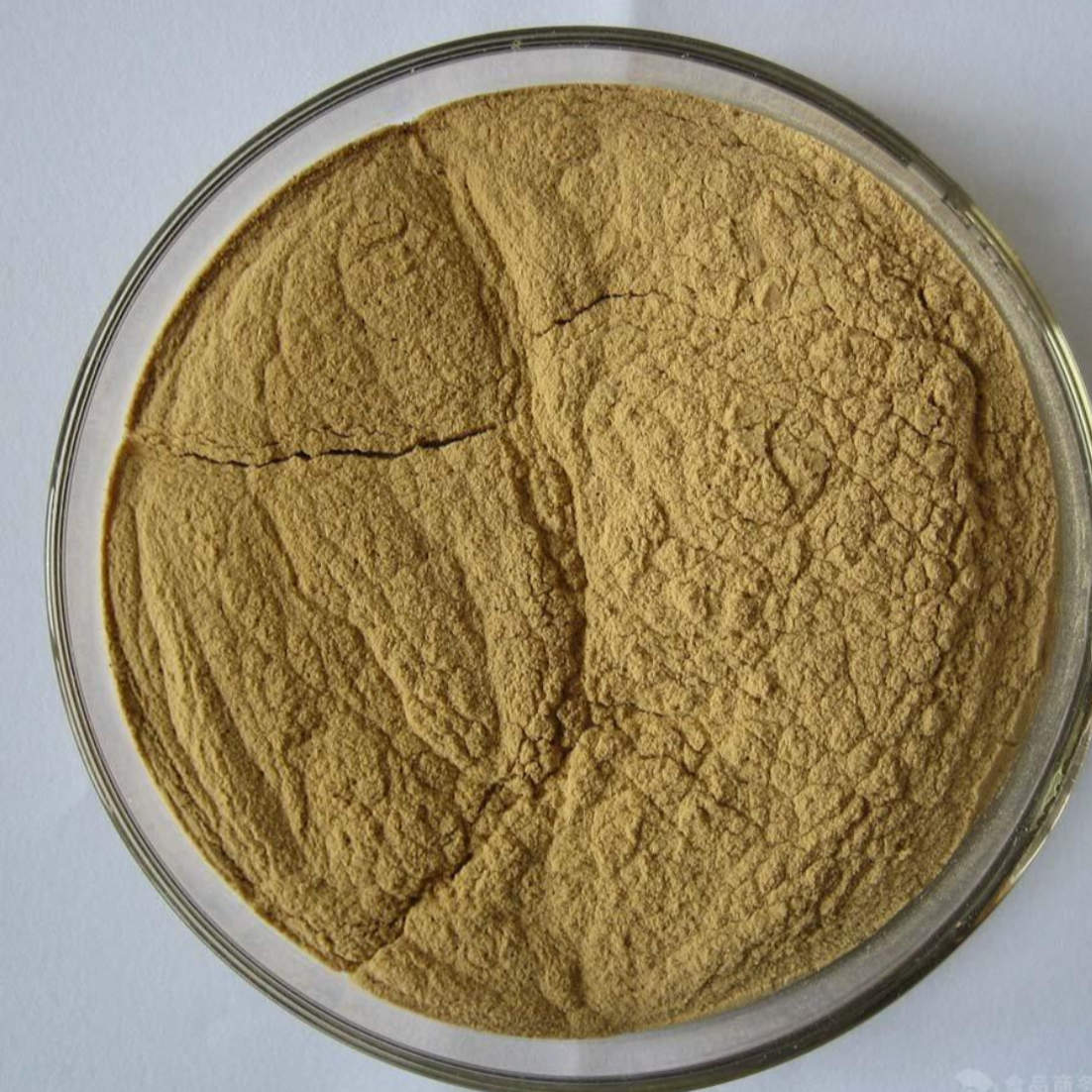 Invariably Stem with Hooks