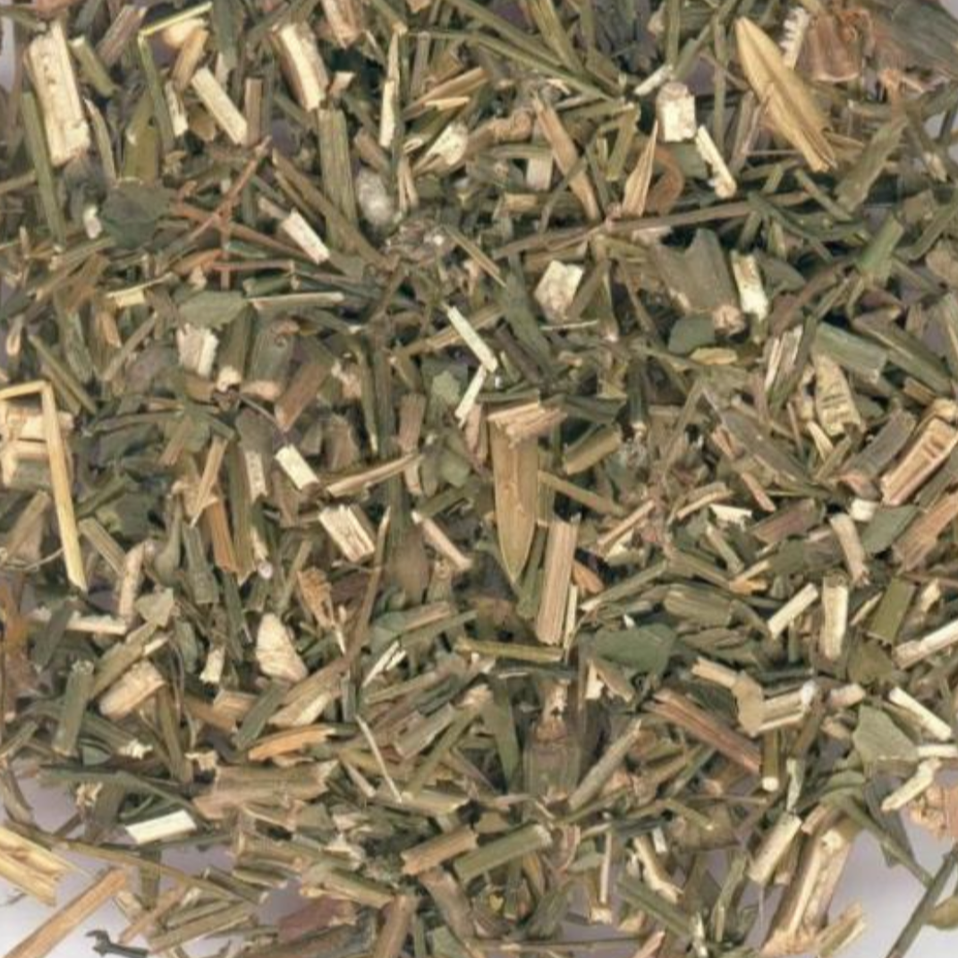 Andrographis Paniculata