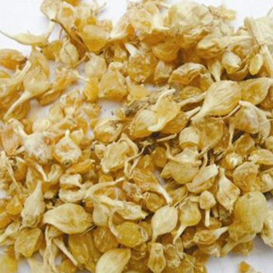 Bulbous Allii Macrostemon