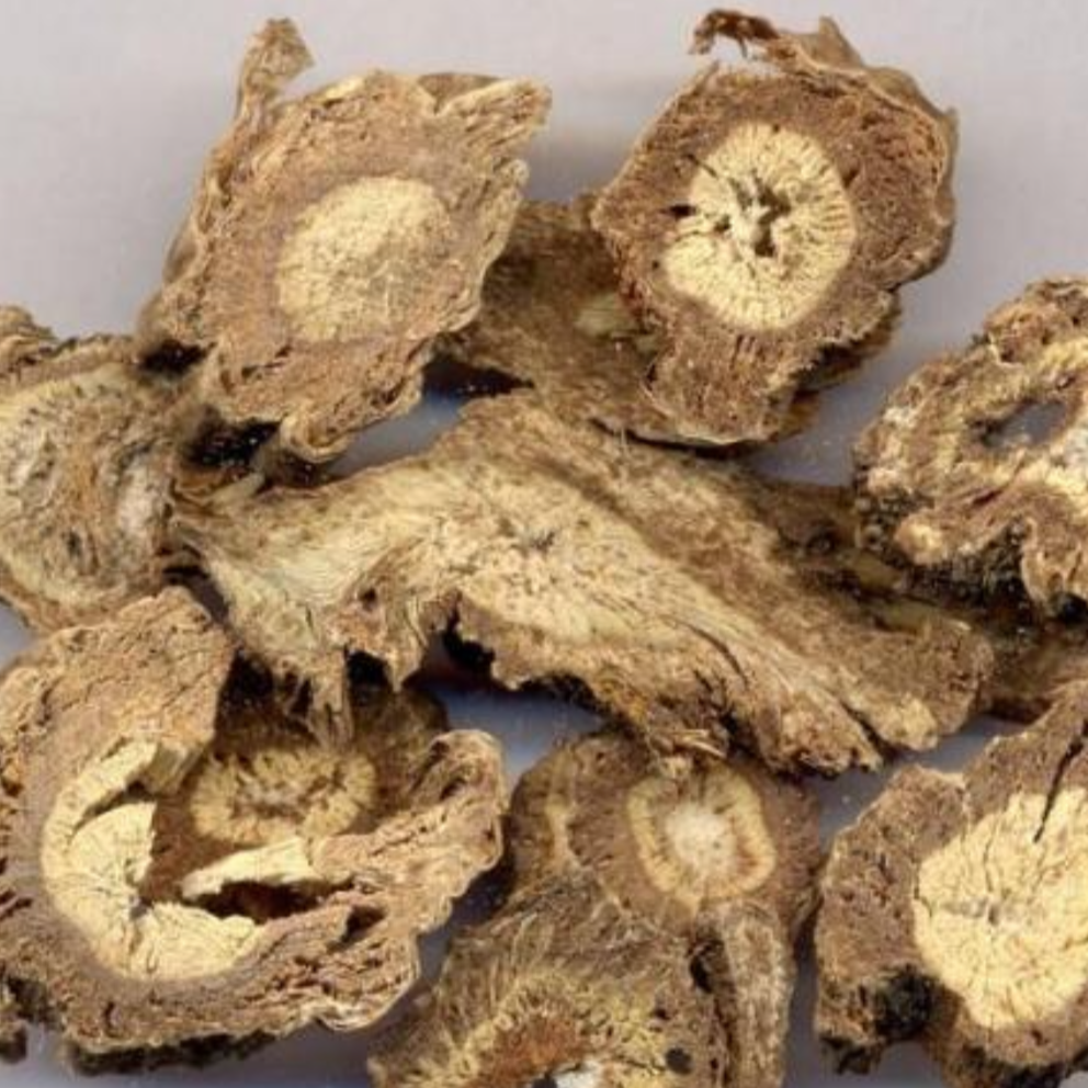 Radix Angelica’s Pubescentis