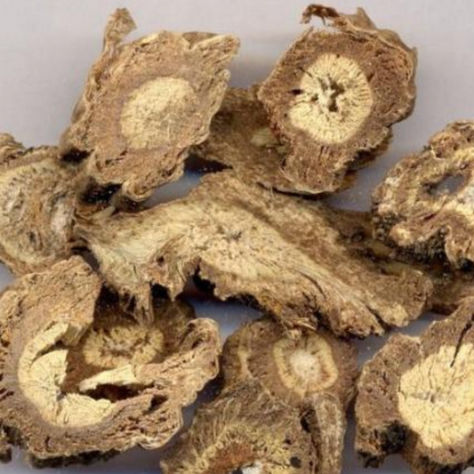 Radix Angelica’s Pubescentis