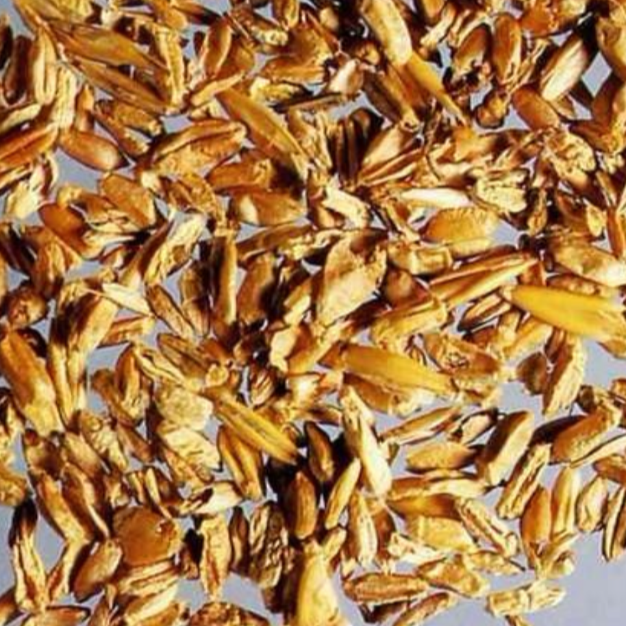 Shrivelled Wheat (Light Wheat)