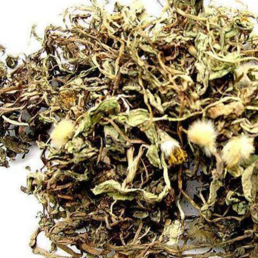 Dandelion Herb