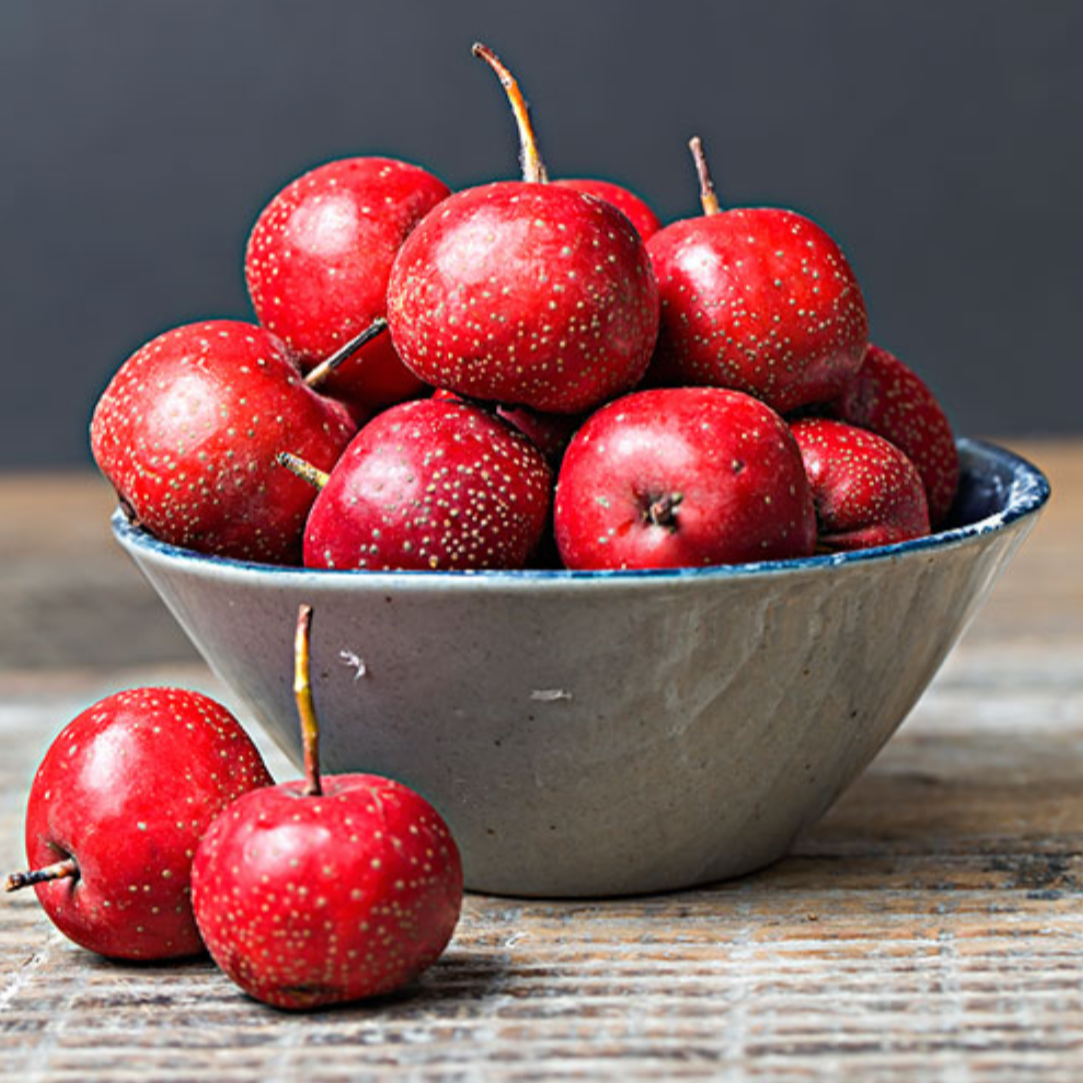 Hawthorn Fruit