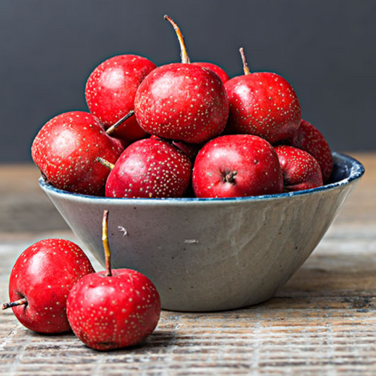 Hawthorn Fruit