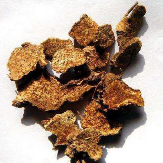 Rhizoma Atractylodis