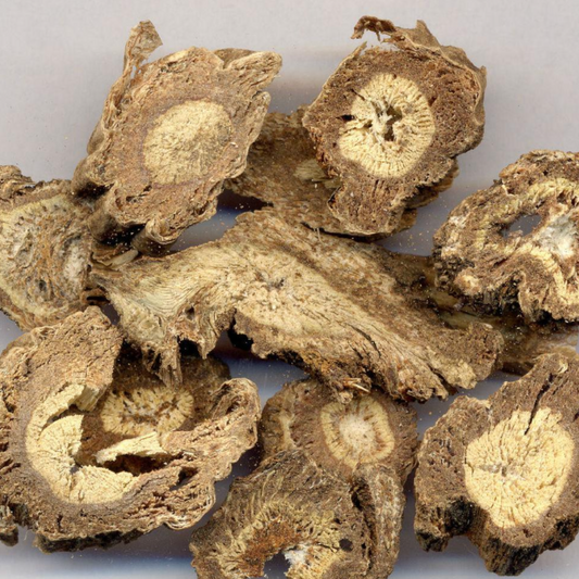 Notopterygium Root