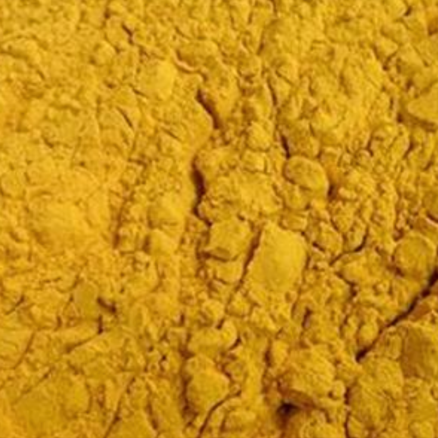 Pollen Typhae