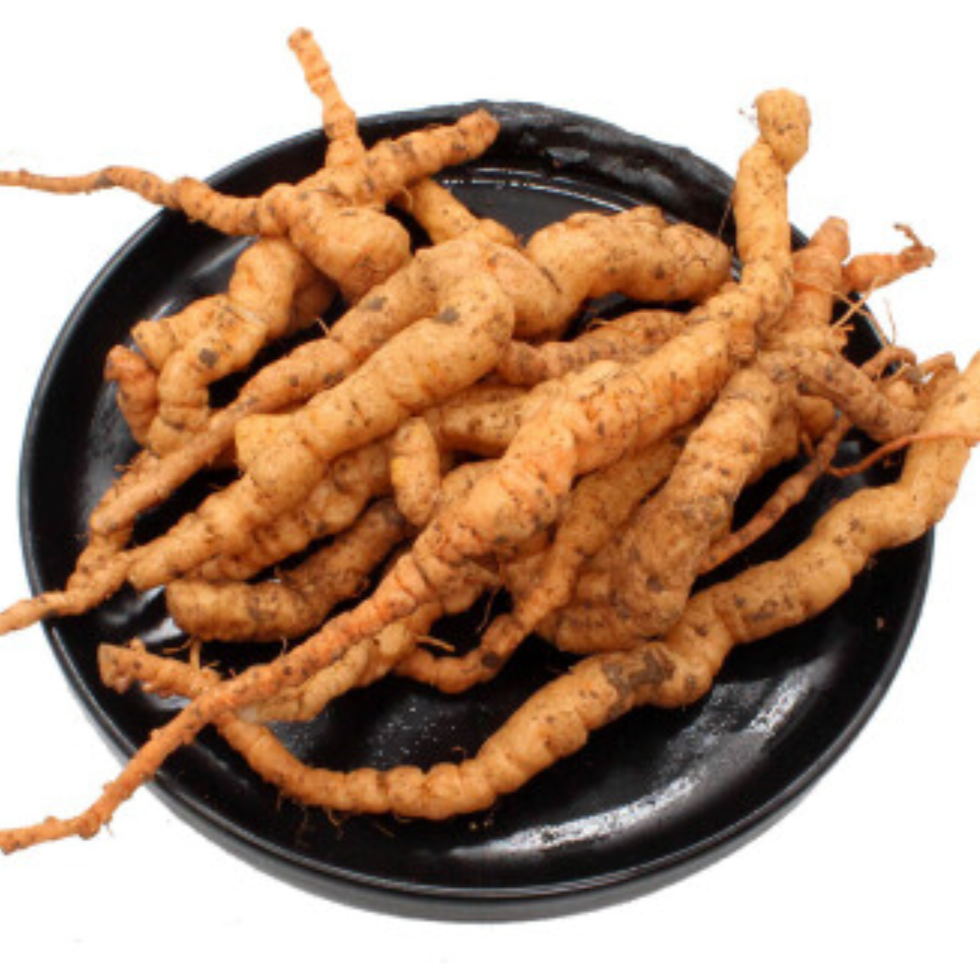 Raw Rehmannia Root