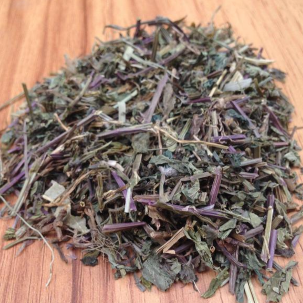 Herba Scutellariae Barbata