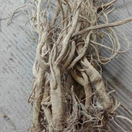 Cyathula Root