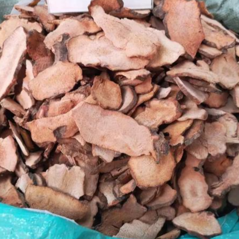 Rhizome Smilacis Glabrae