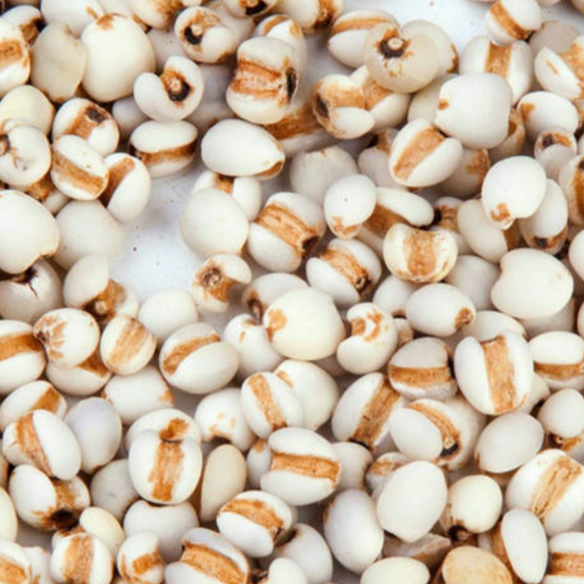Coix Seed