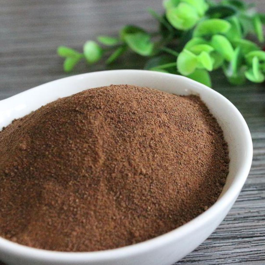 Wild Chrysanthemum Flower