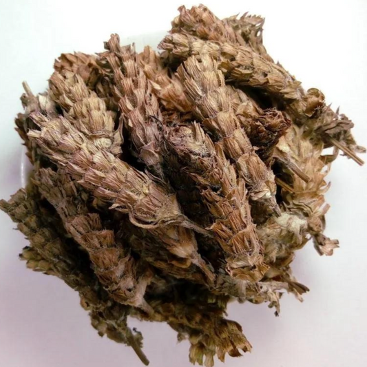 Selfheal Spike (Prunella Spike)