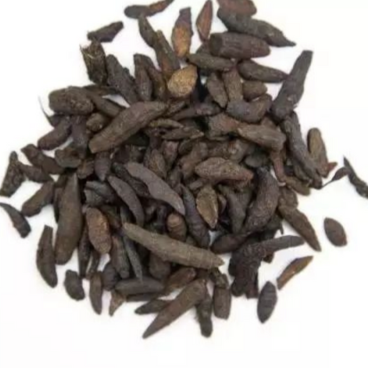 Nutgrass Galingale Rhizome