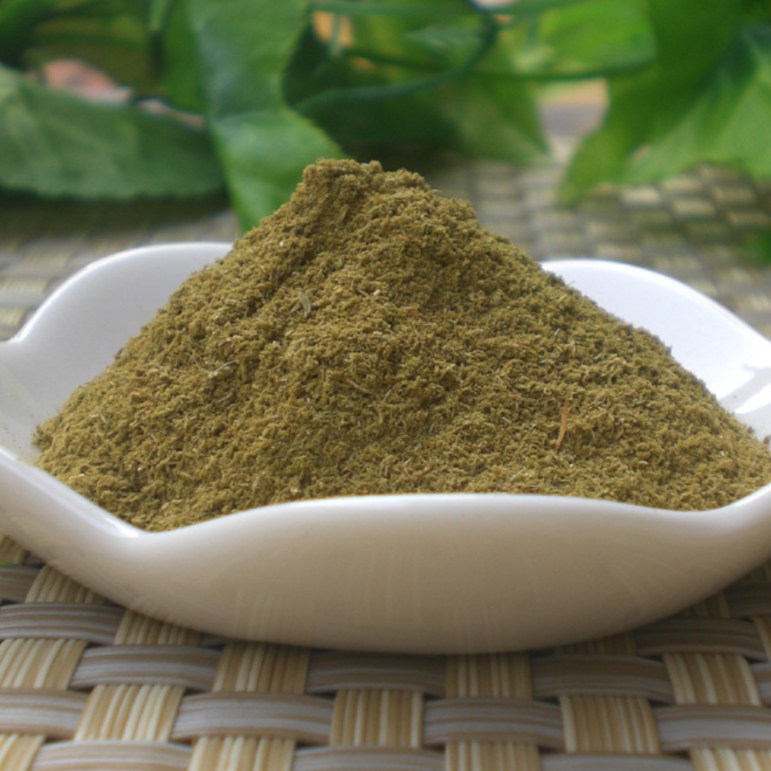 Rhizome Smilacis Glabrae