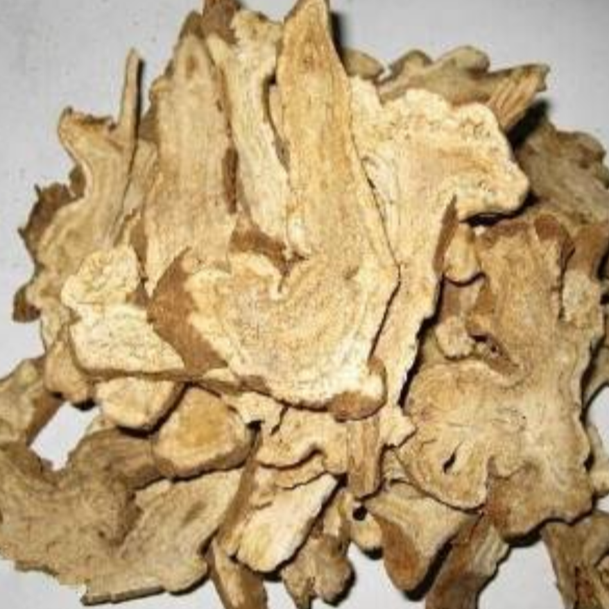 White Atractylodes Tuber