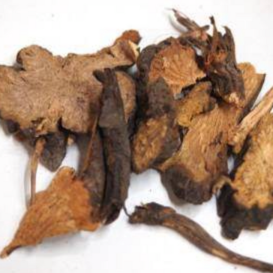 Burnet Root