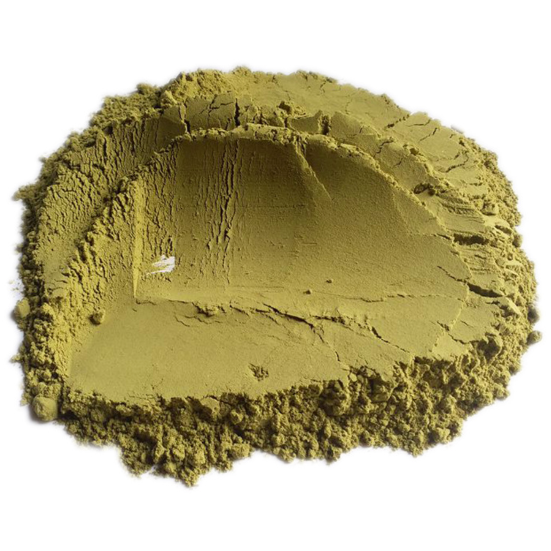 Polygonatum Odoratum