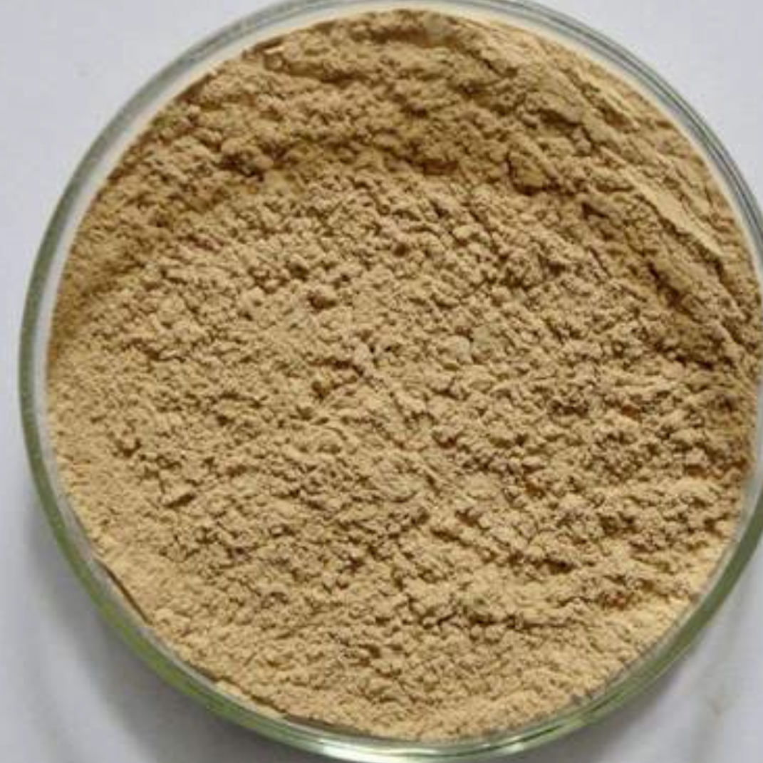 Radix Angelica’s Pubescentis