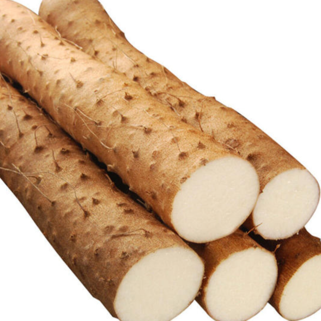 Chinese Yam