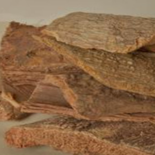 Cortex Pseudolaricis Bark