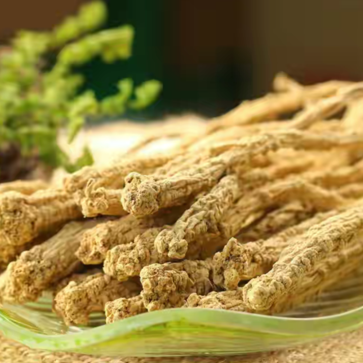 Codonopsis – Nature's Way Herbal Remedies