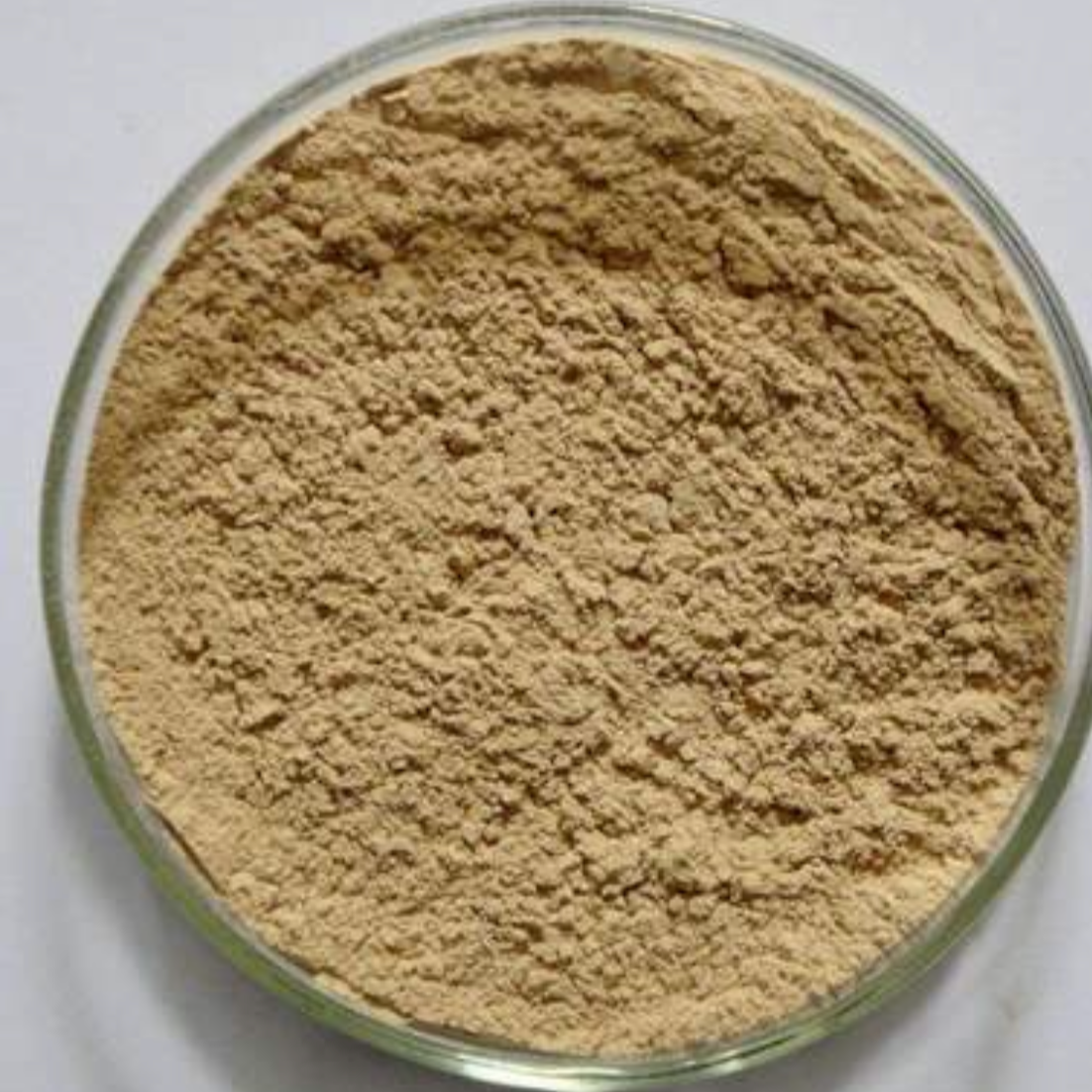 Radix Ledebouriella Root