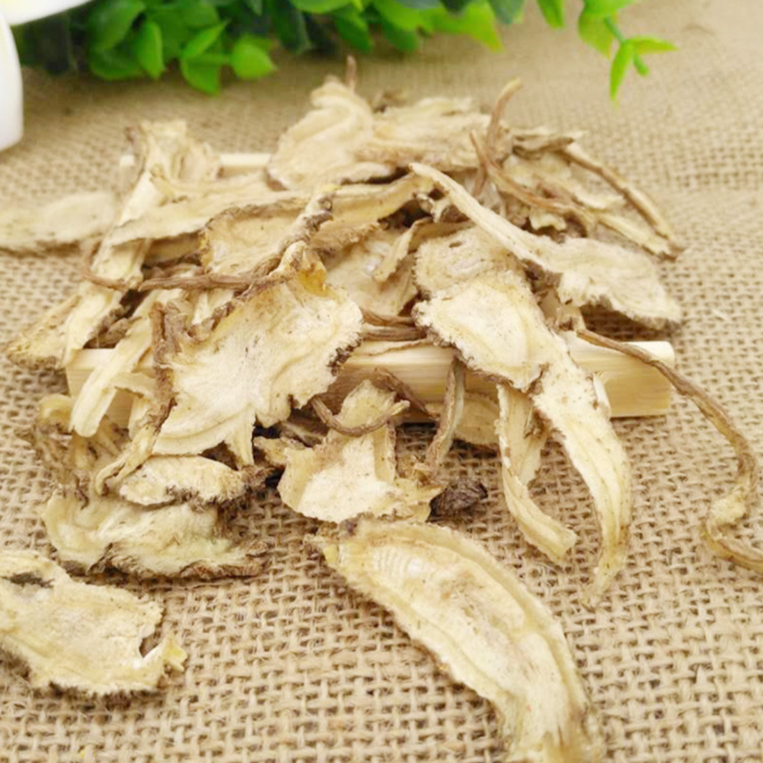 Chinese Angelica Root
