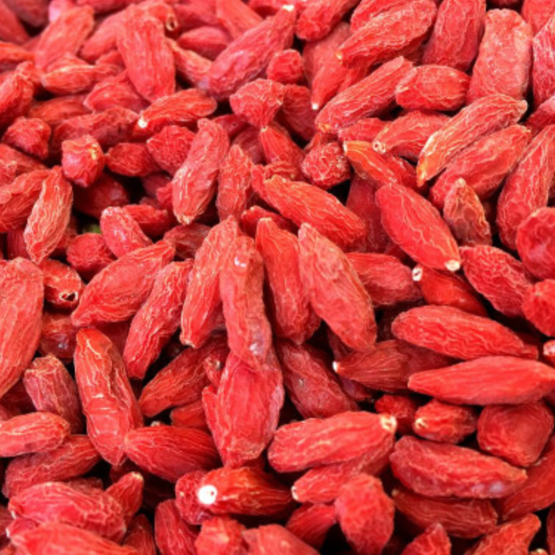 Wolfberry Fruit Gogi Berry 枸杞子